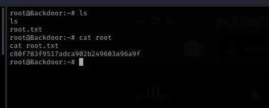 Root shell and root.txt