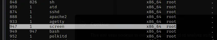 Process list showing screen running as root