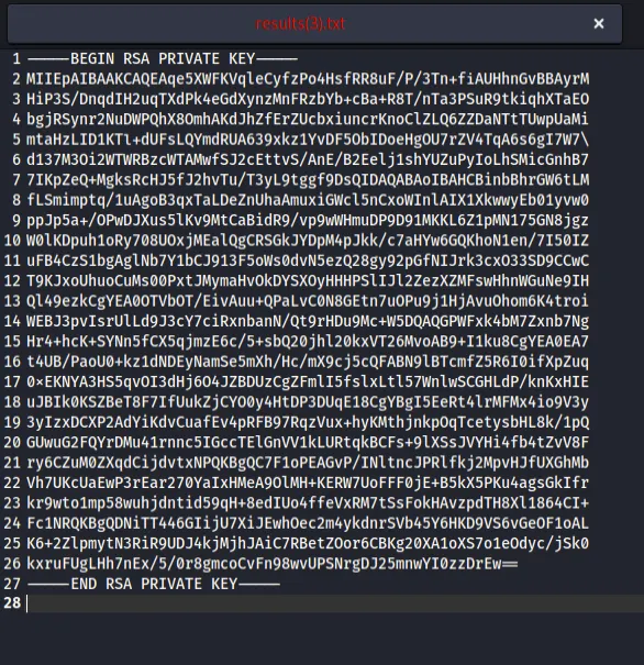 Extracted RSA private key